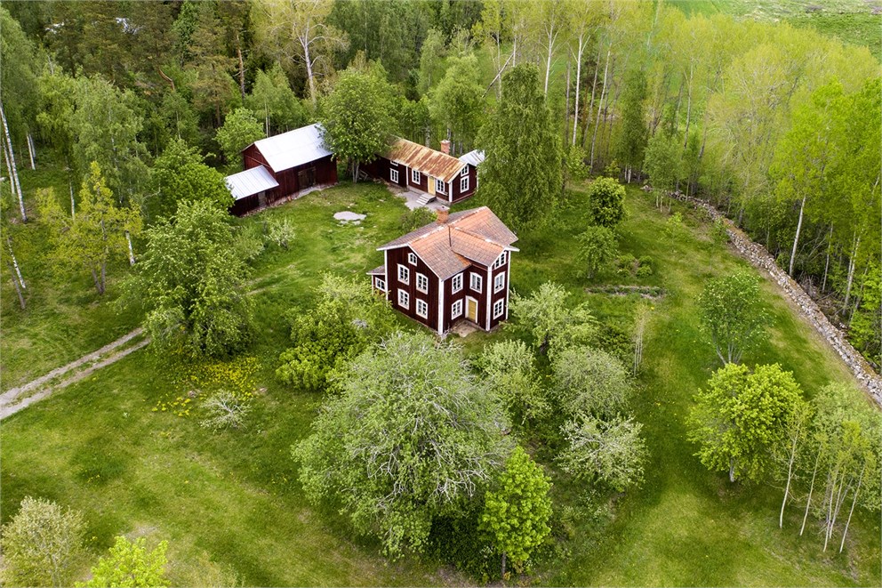 Acktjära 2231