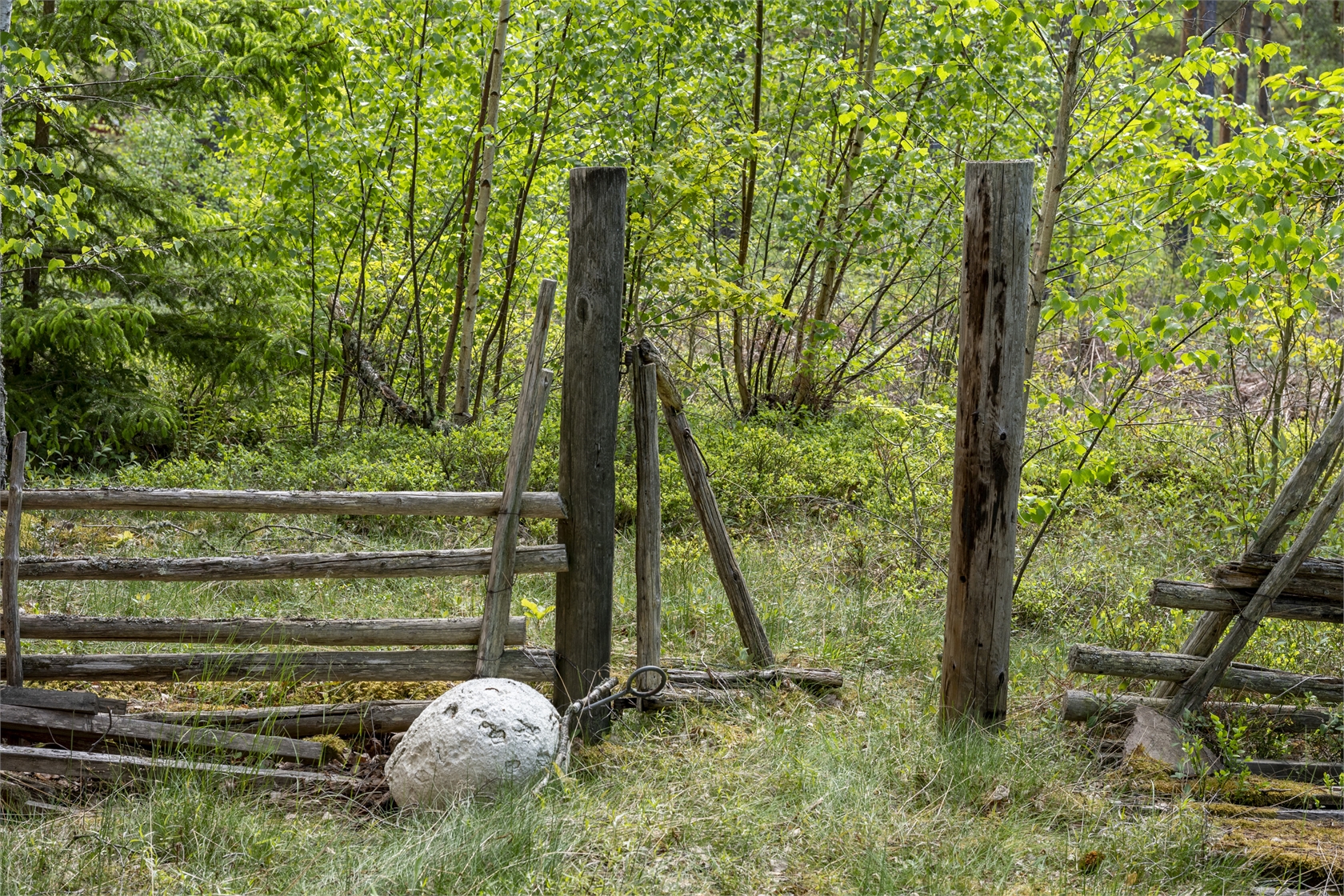 Älmås Udde 6 – bild 8