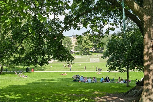 Picknick i Vasaparken