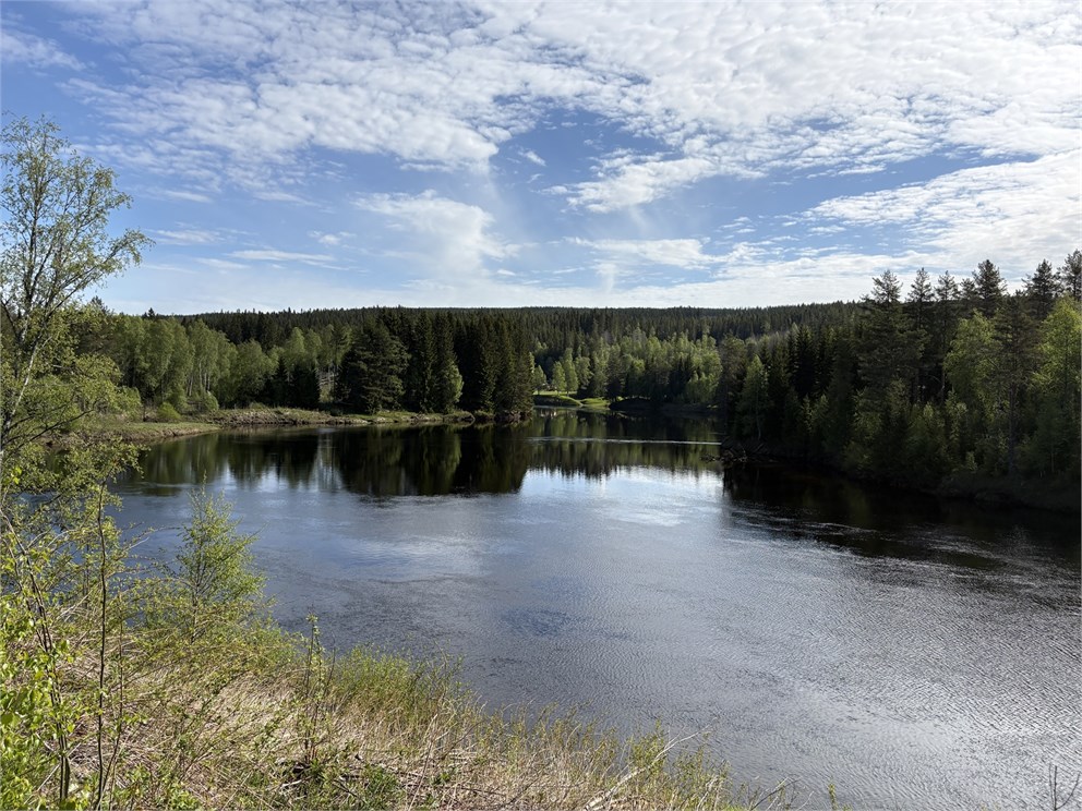 Norra Brändan 144