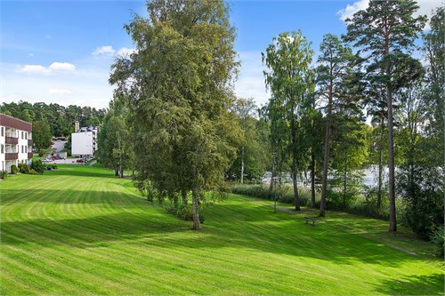 Vy över gården sommartid