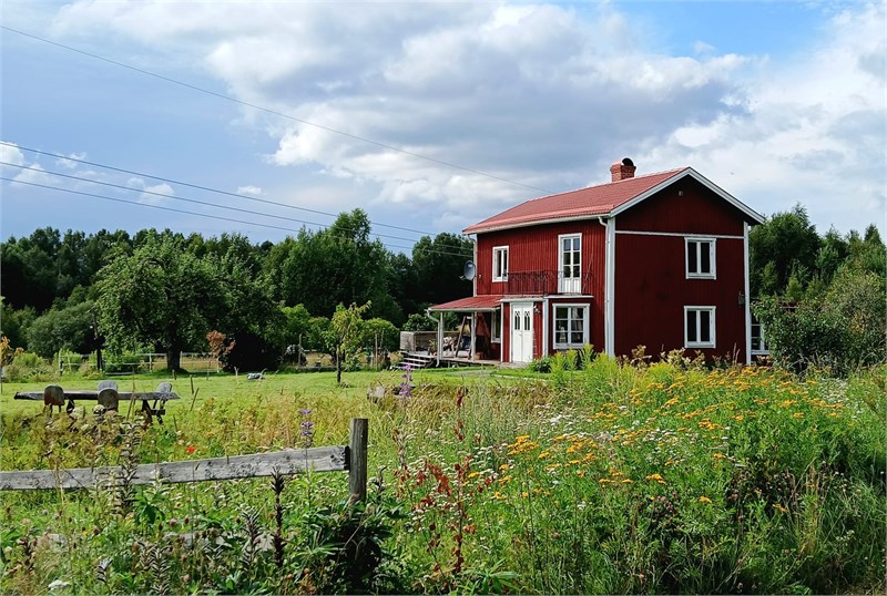 Säljarens bild