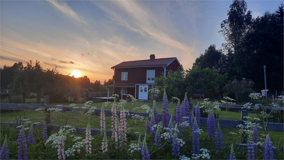 Säljarens bild