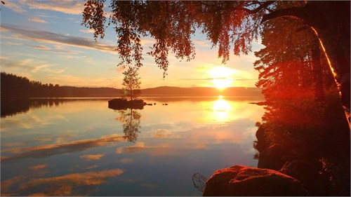 Säljarens egna bild