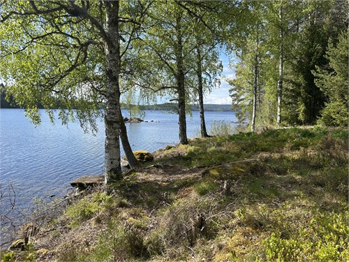 Säljarens egna bild