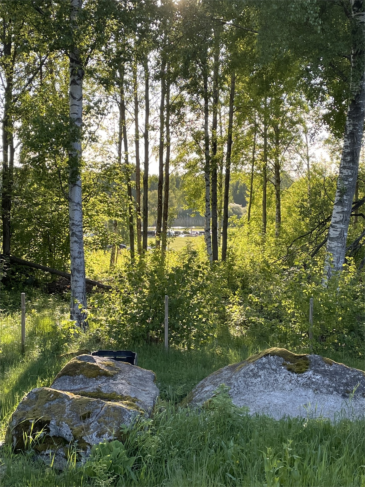 42