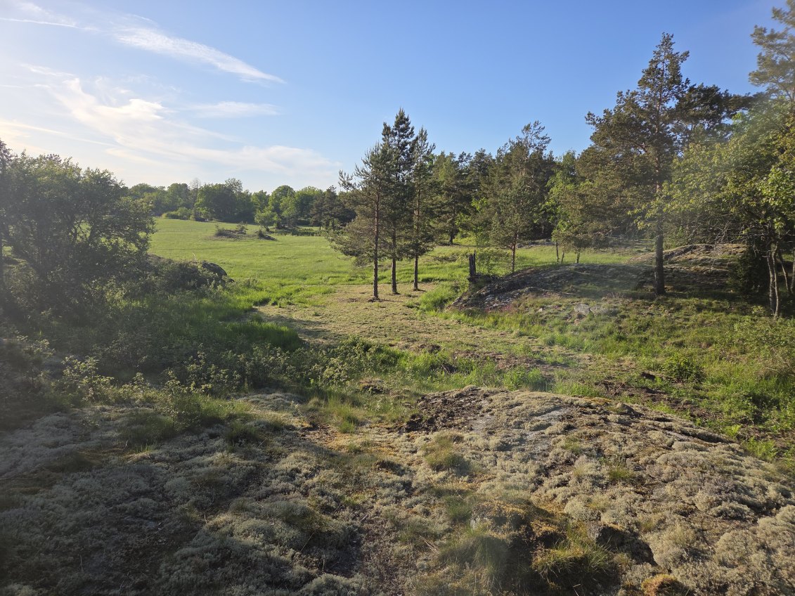 Römora Ängar 1 – bild 6