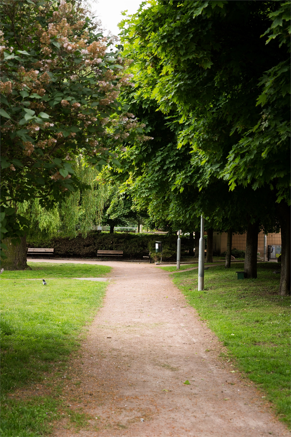 Ellstorpsgatan 4A – bild 29
