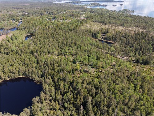 Skogsmark Alsjön / Aggetorp