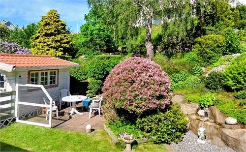 Säljarens sommarbild på den skyddade baksidan