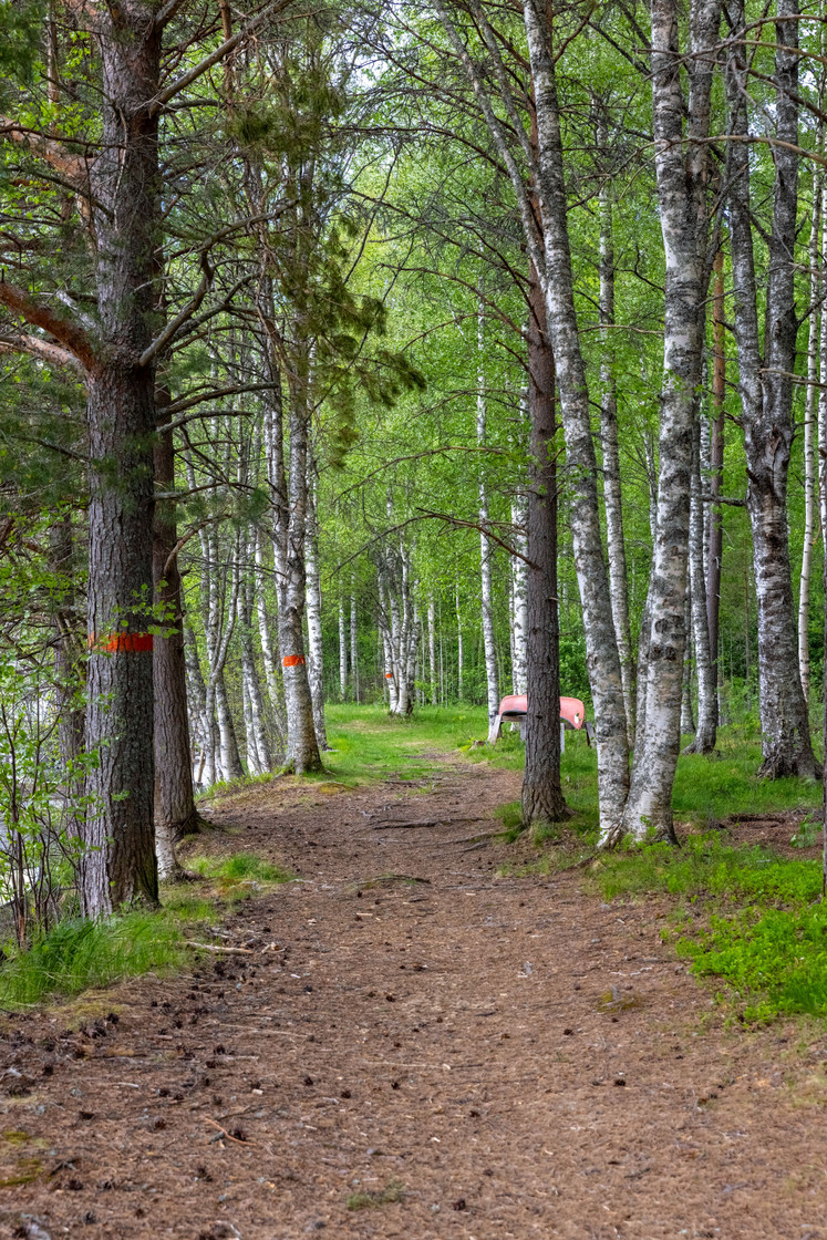 Långängsvägen 31 – bild 4