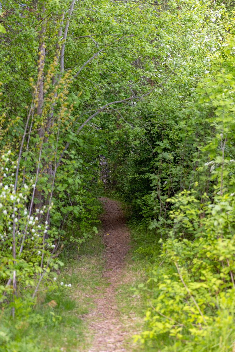 Långängsvägen 31 – bild 6