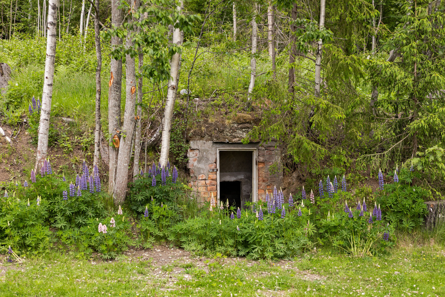 Severins väg 12 – bild 31