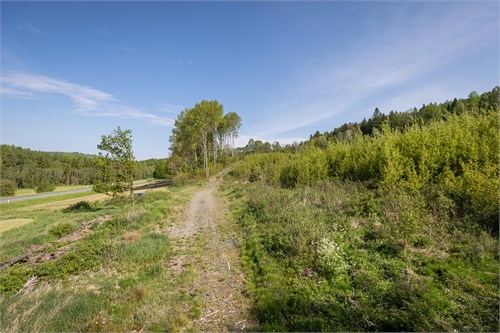 Hyltan 31