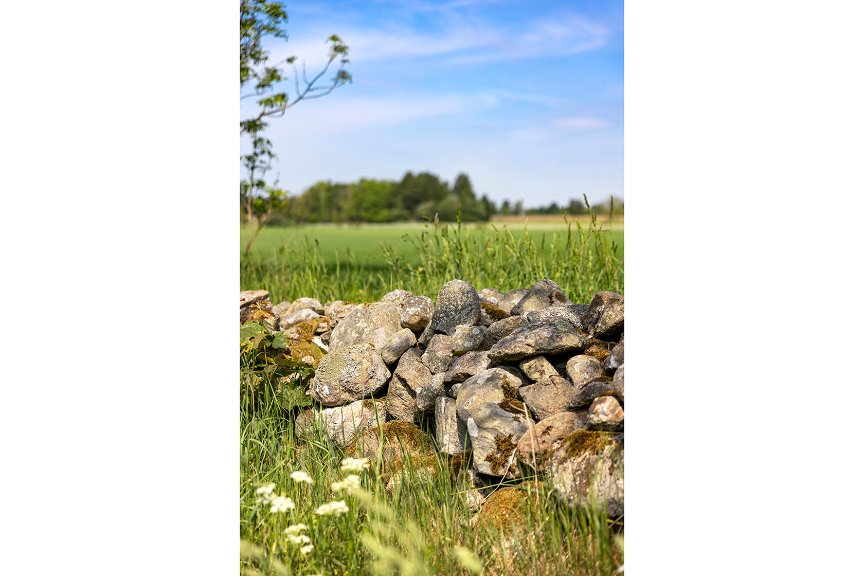 Pärup 7282 – bild 2