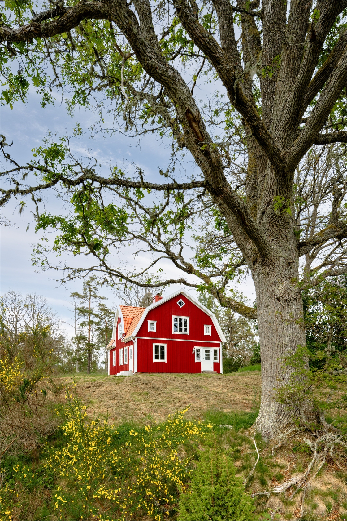 Hånger Väderås 2 – bild 4