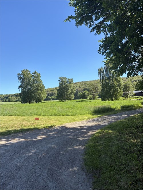 Säljarens bild, från gatan