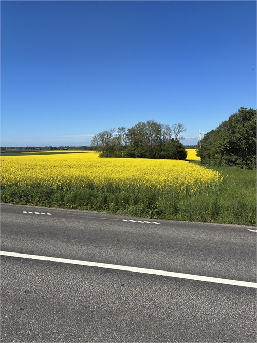 Säljarens bild, från omgivningen