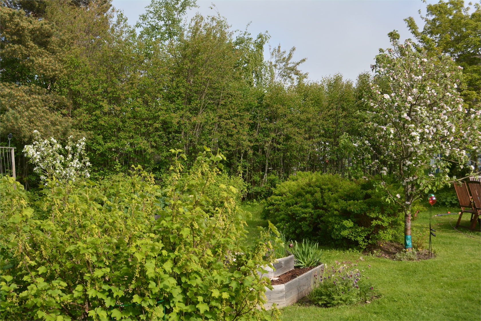 Basvägen 4 – bild 45