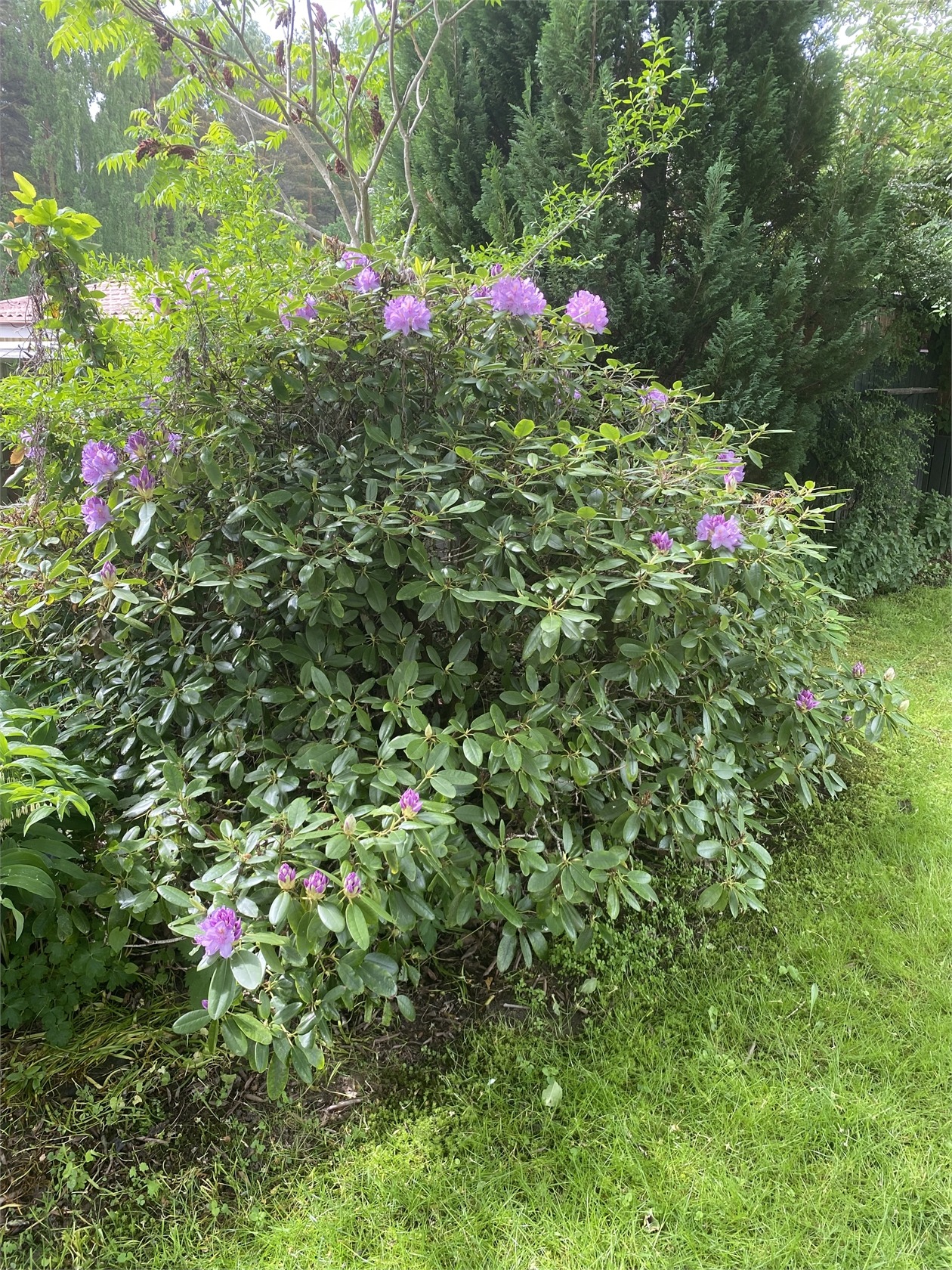Lillgatan 6 – bild 29
