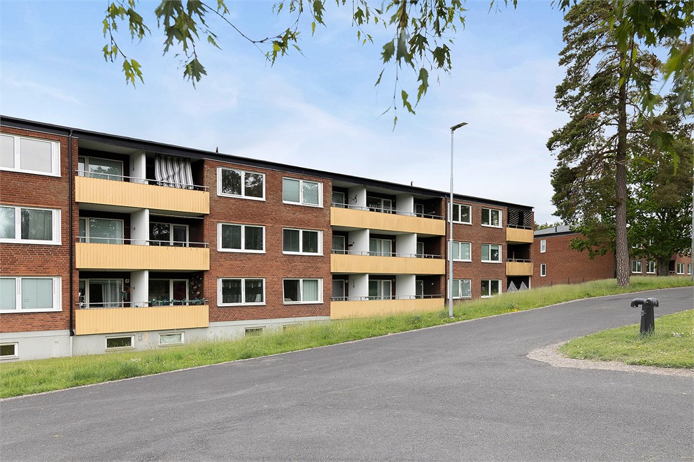Högst upp i huset!
