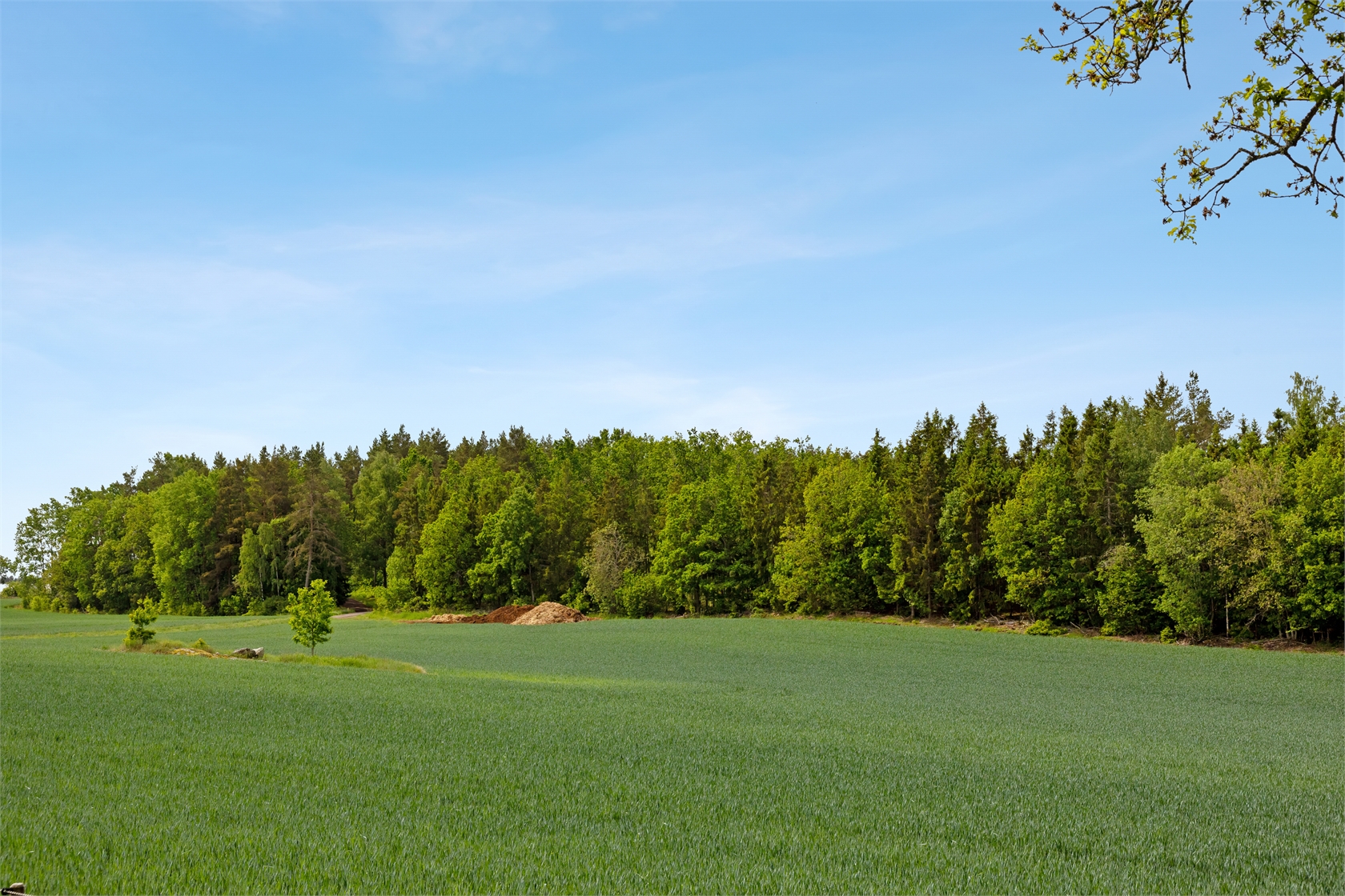 Prytsängen 1:9 – bild 14