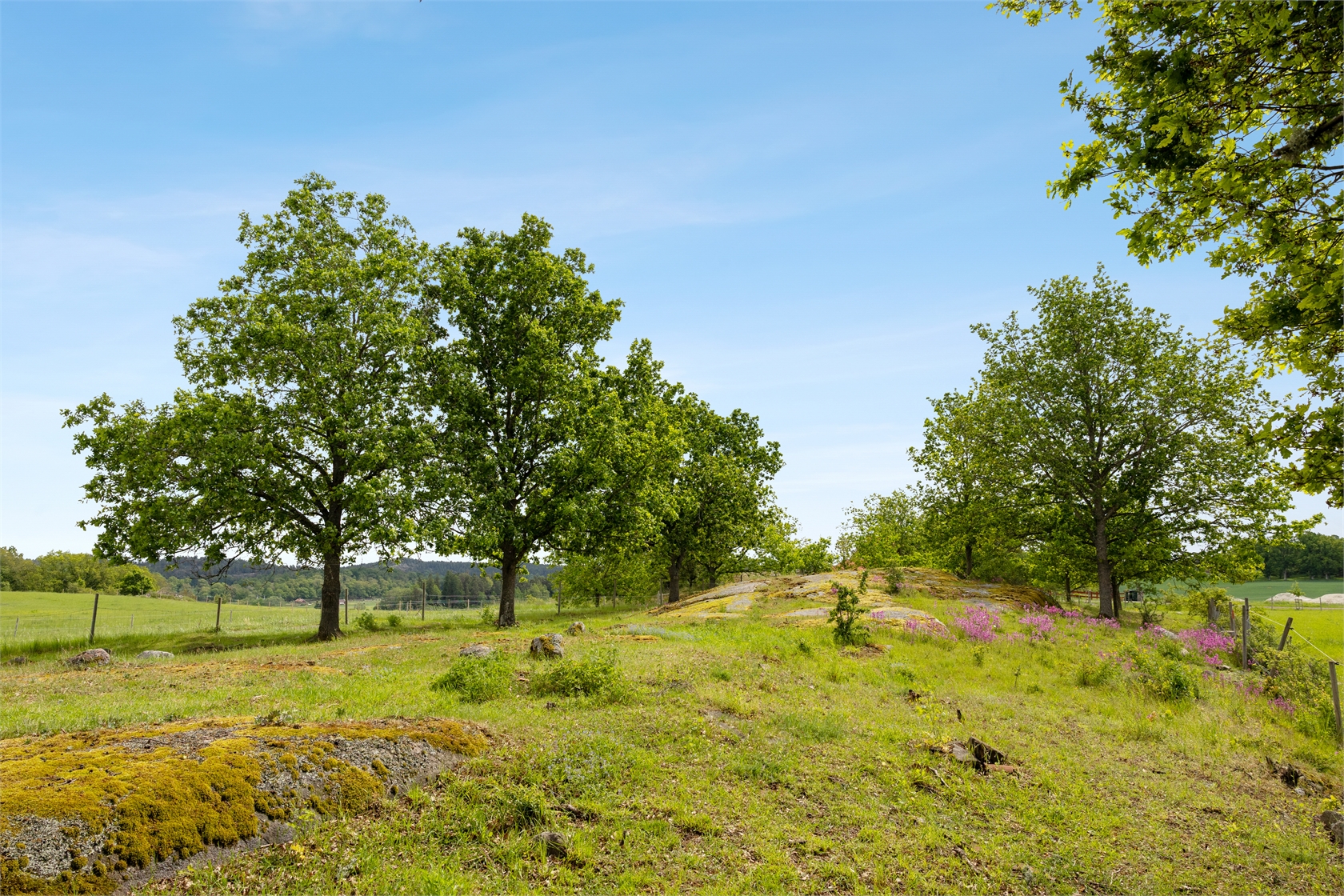 Prytsängen 1:9 – bild 11