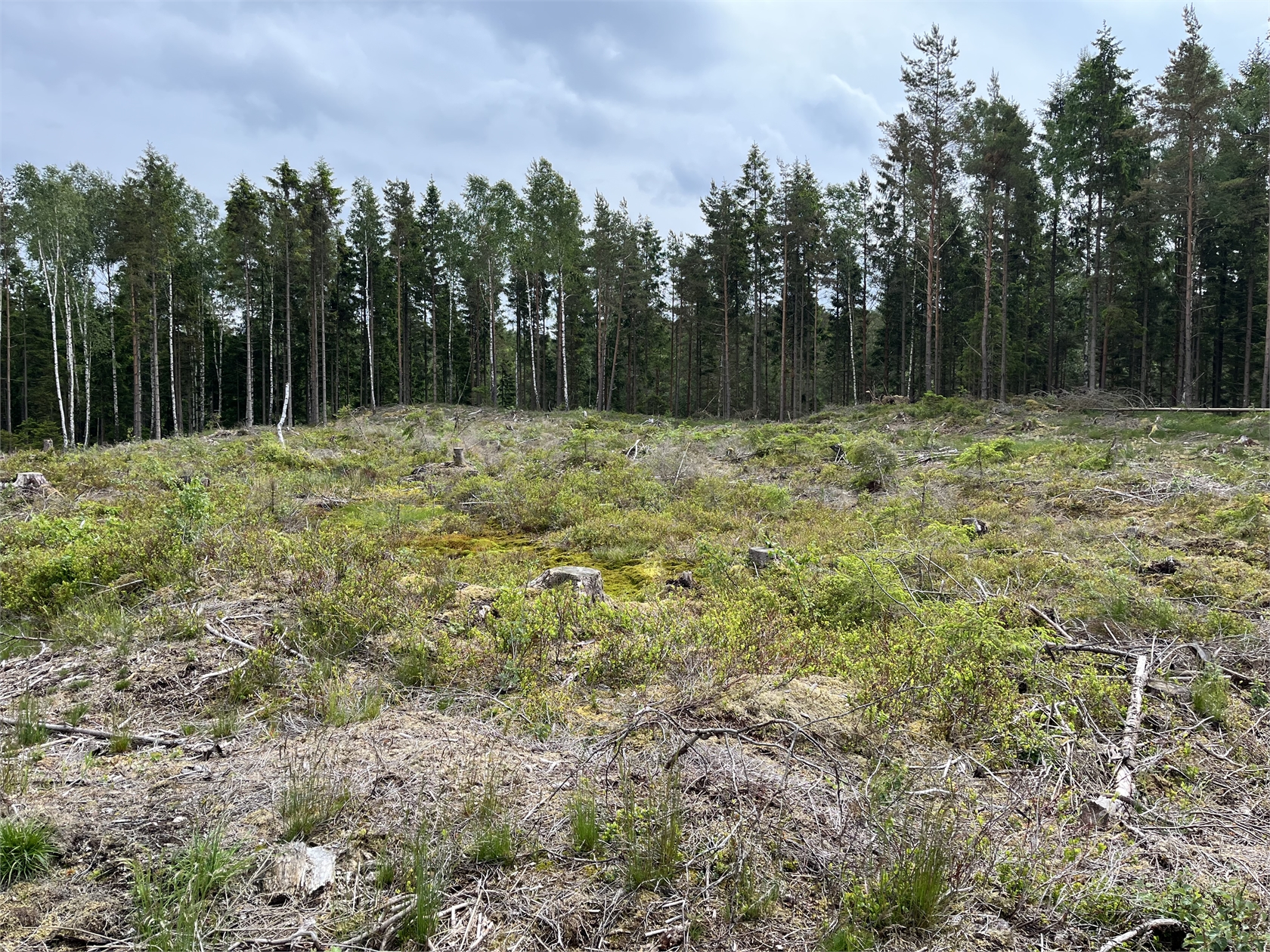 Fjäråsvägen 114 – bild 2