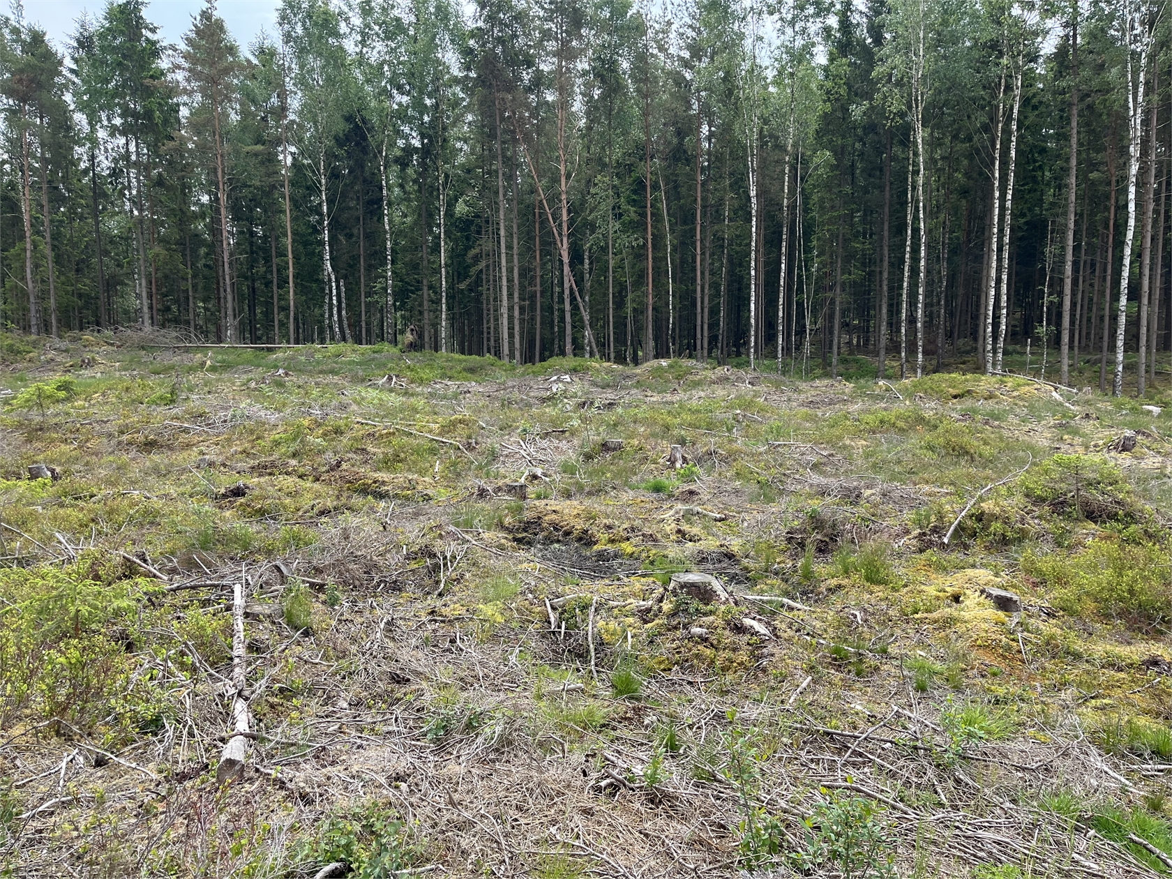Fjäråsvägen 114 – bild 3