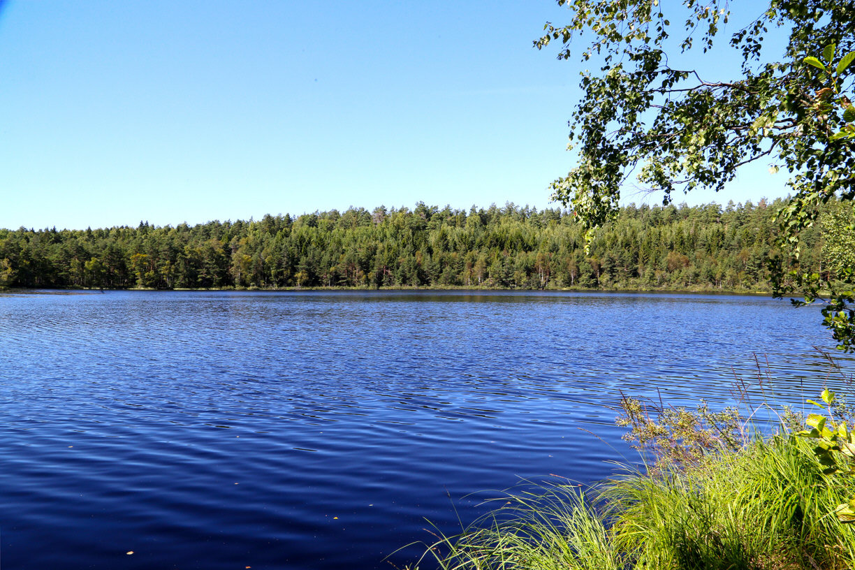 Högmoravägen 46 – bild 26