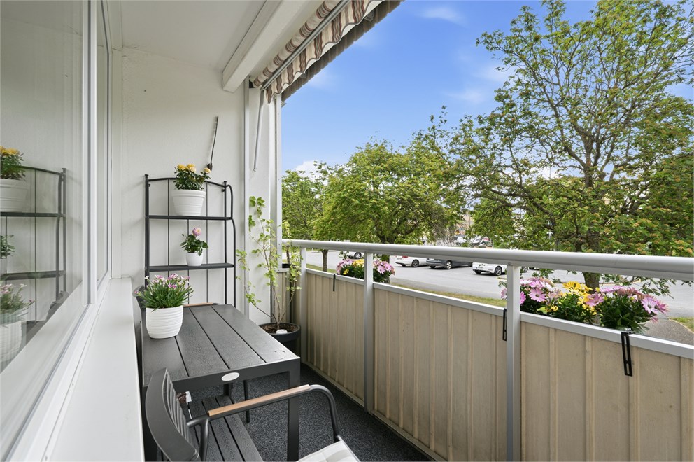 Molngatan 29