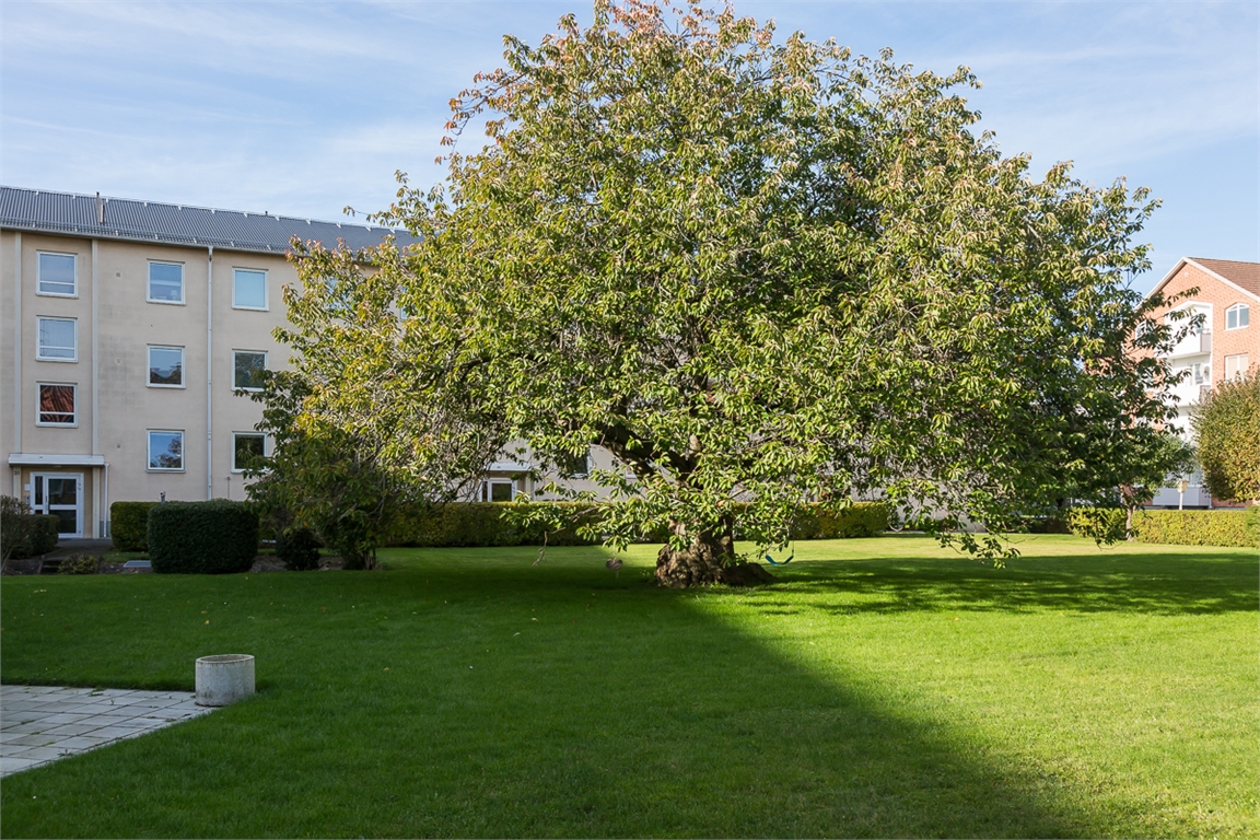 Odalgatan 29 – bild 19