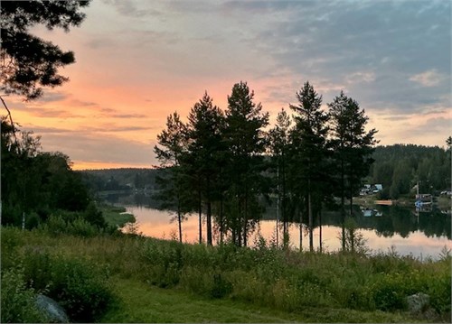 säljarens bild 