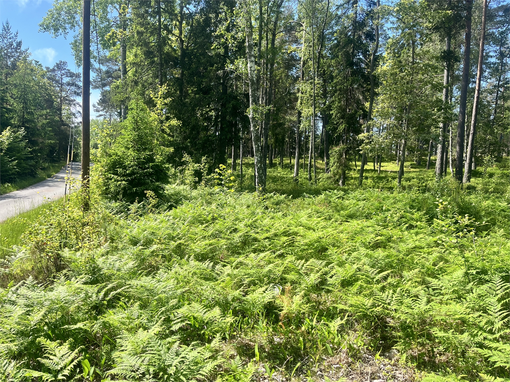 Önskevägen 1