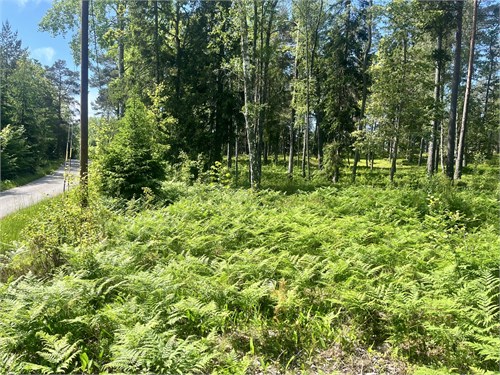 Önskevägen 1