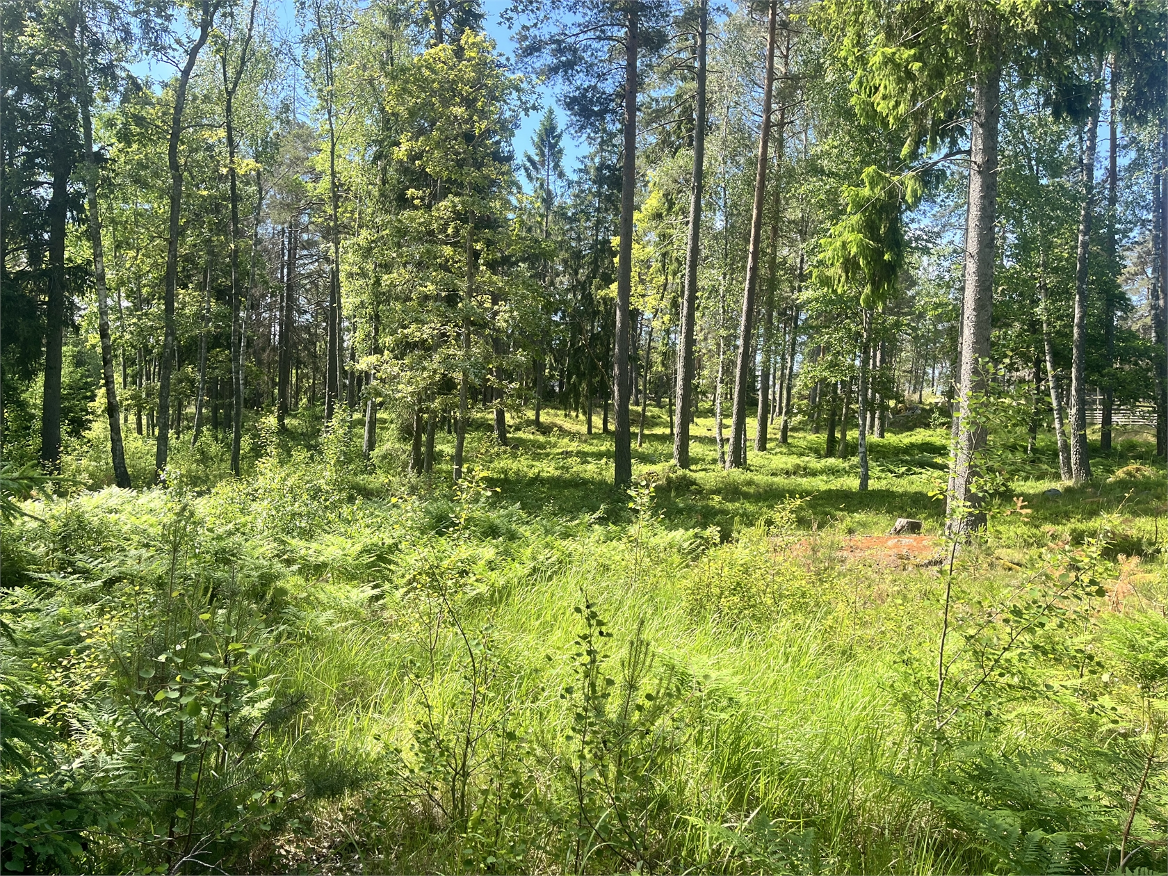 Önskevägen 1 – bild 3