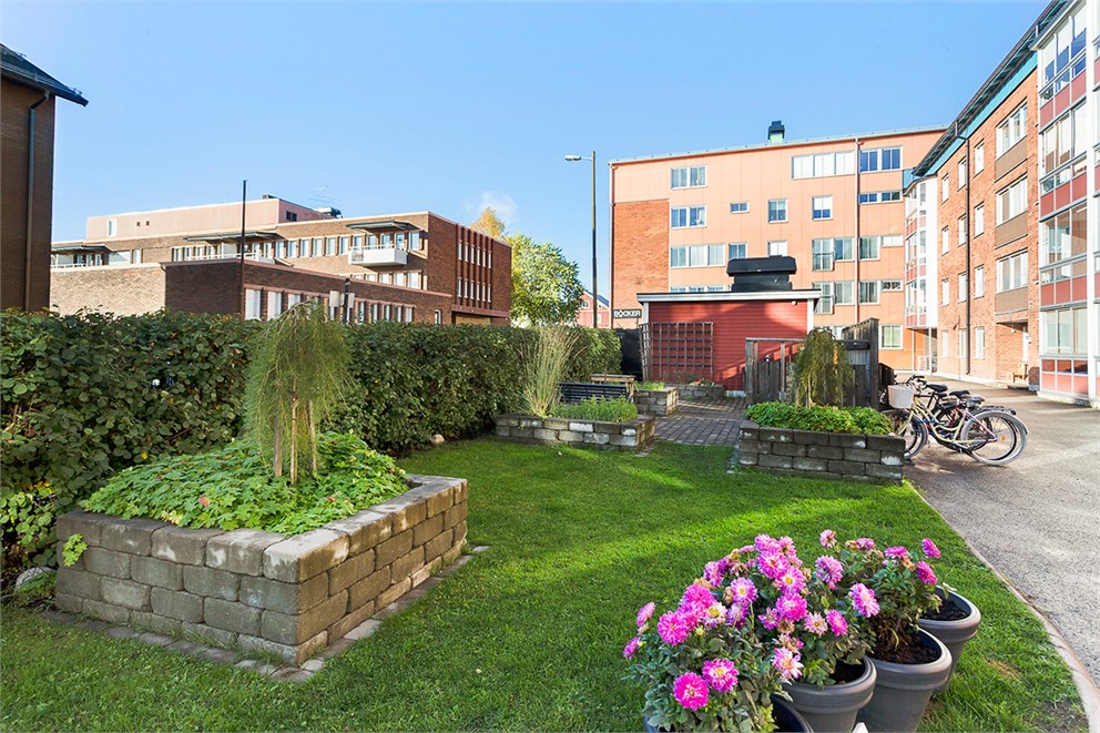 Föreningens innergård