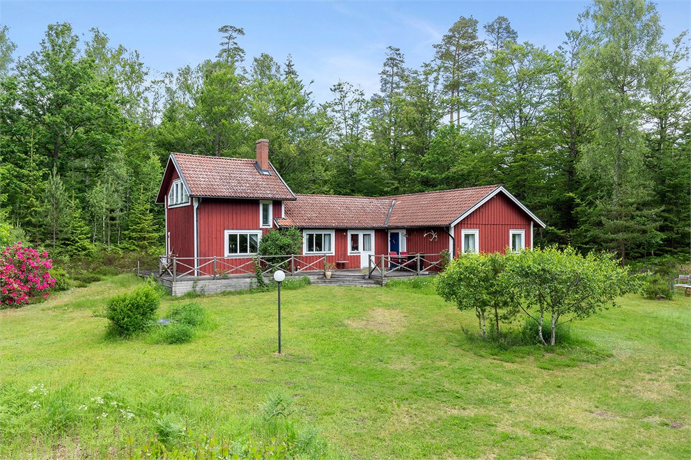 Hårhult 7773