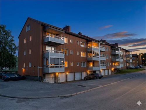 Bilden är ett fotomontage