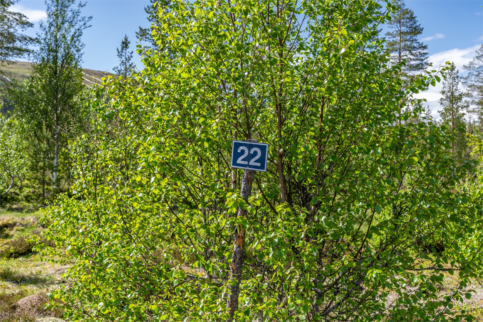 Björnvägen 22 – bild 3