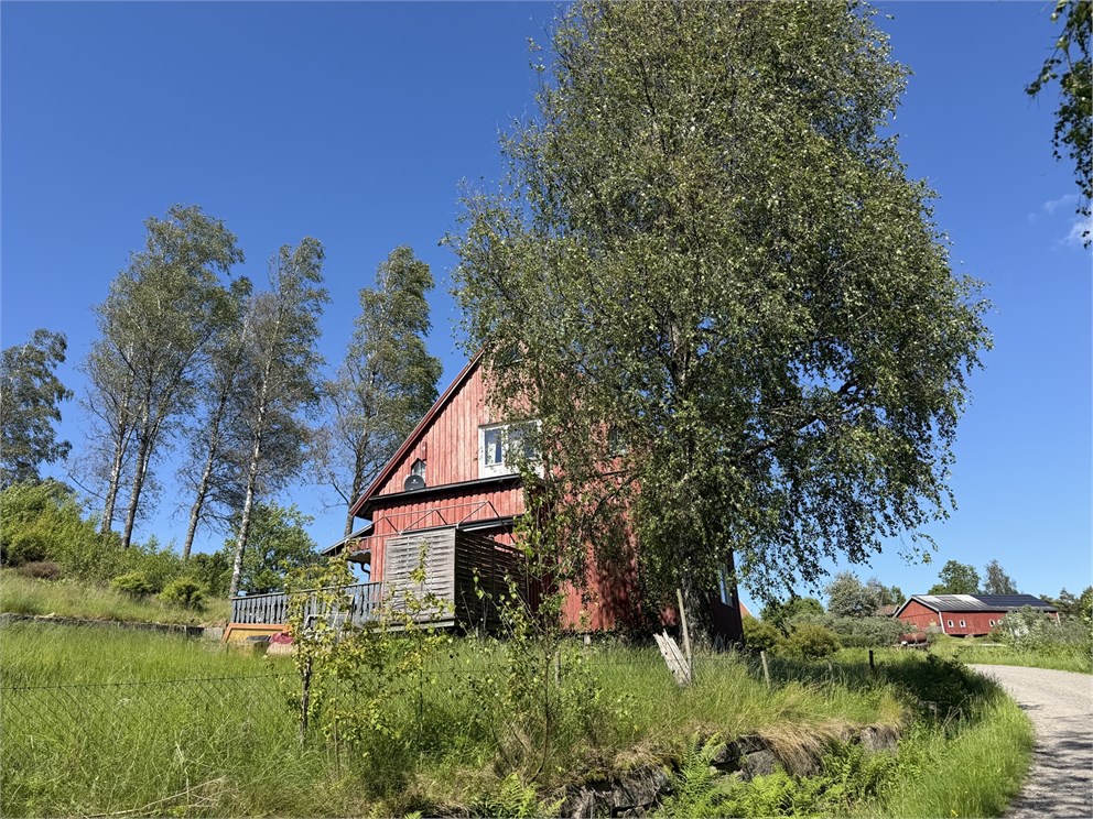Hämmen 2