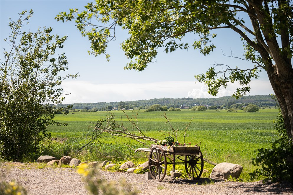 Lyngåkra 352
