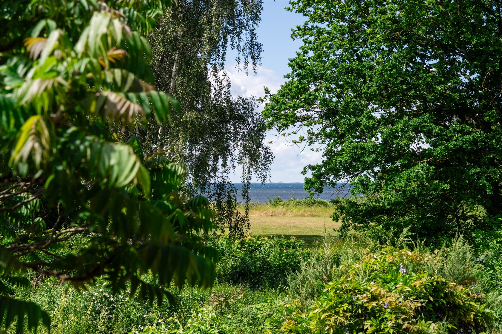 29