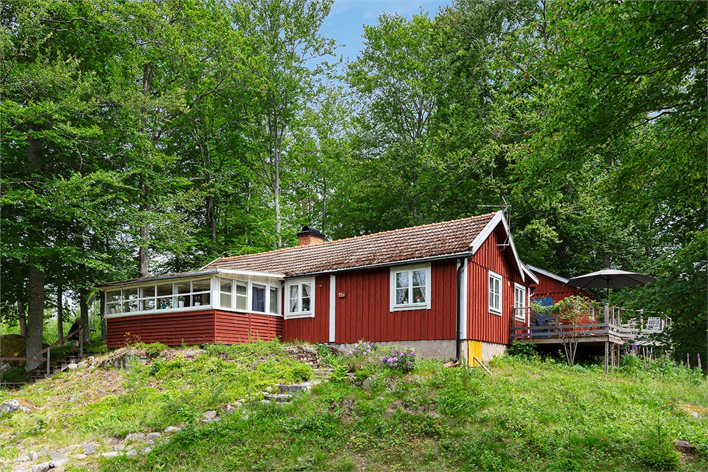 Knappsmåla 116