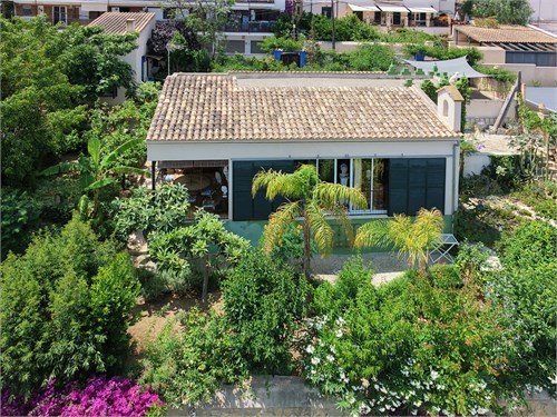 El Terreno | Mallorca