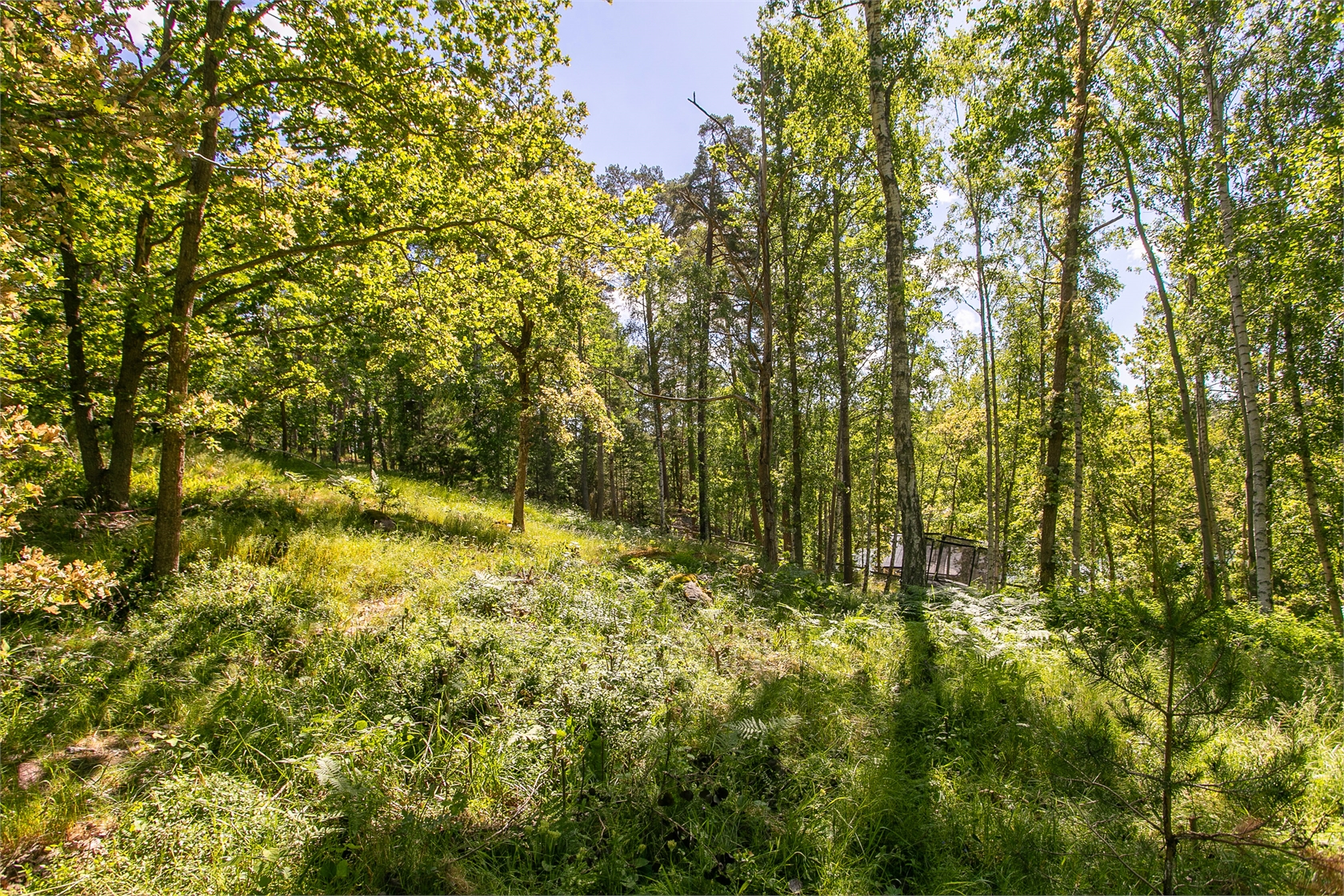 Djurgårdsvägen 22 – bild 8