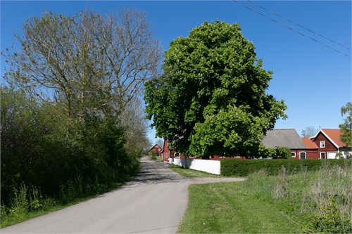 Röhällavägen