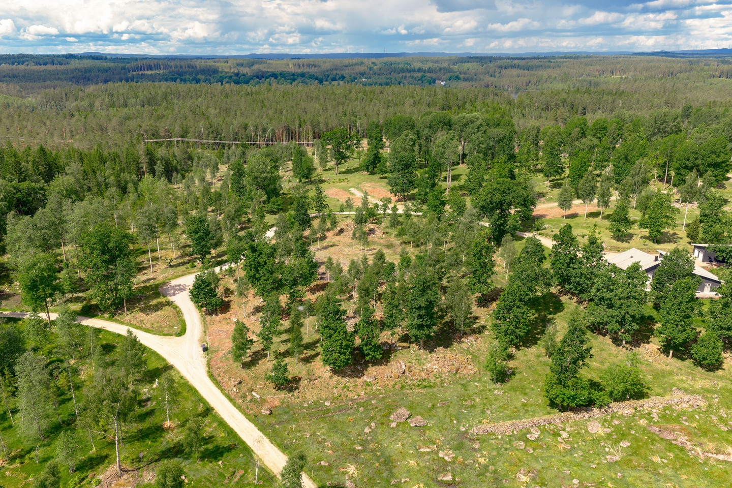 Gårö – bild 14