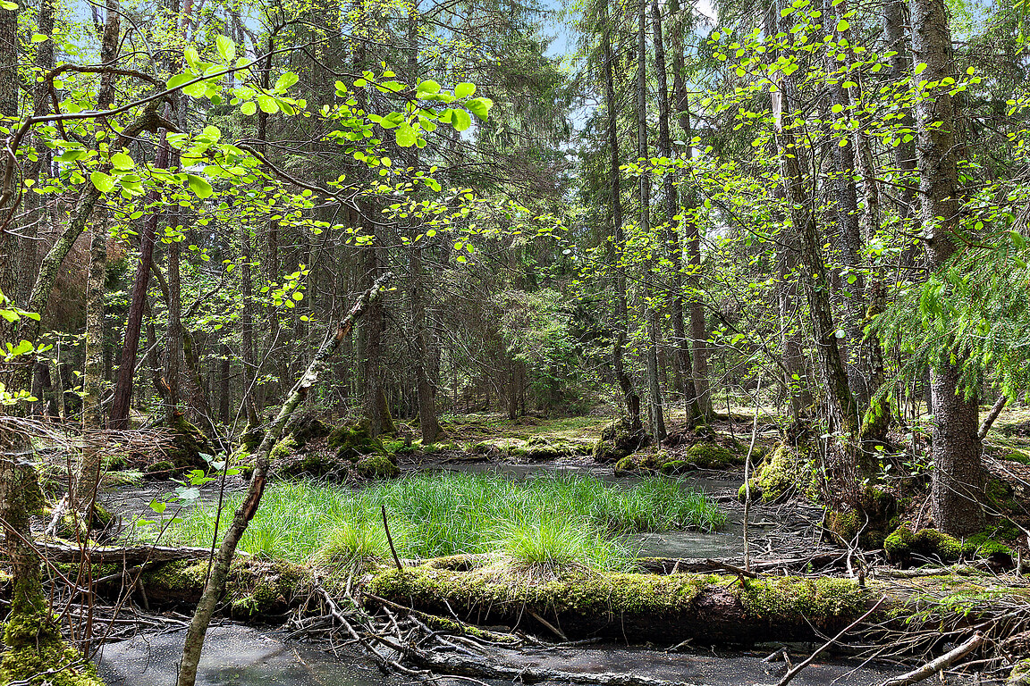 Skördegången 22 – bild 29