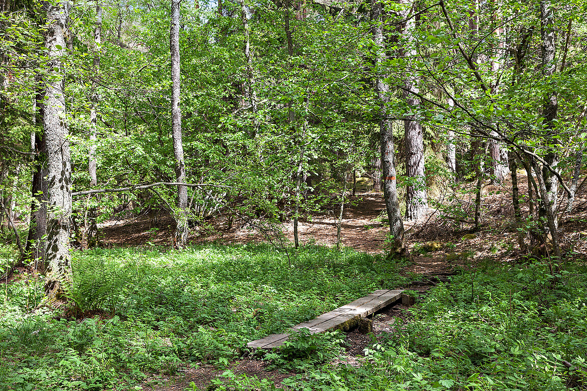 Skördegången 22 – bild 27